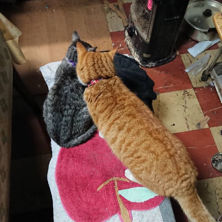 78824c61 3802 4e76 ab65 7fba5c8e0bea 1578391608734