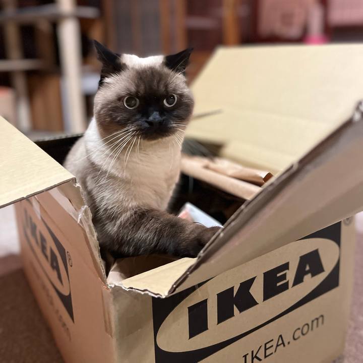 7882763d b541 4168 bc7c ad8965e868dc 1636686234124