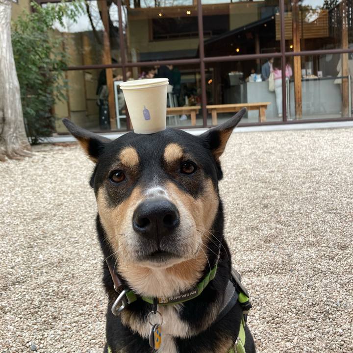 78827e27 62da 41ed 8cbd 2eb56381a3fd 1679460621341