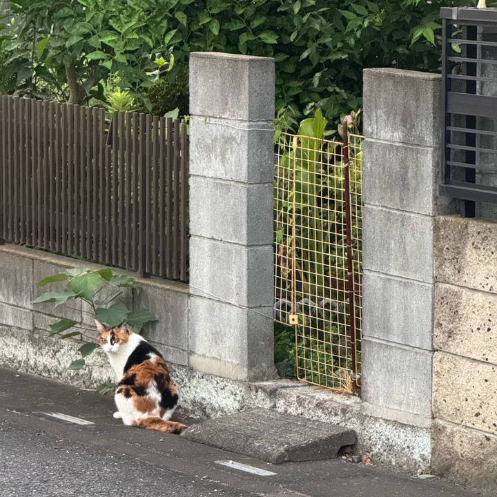 78827f75 d1aa 41df b20f 3ce3e0f66e9f 1755215895570