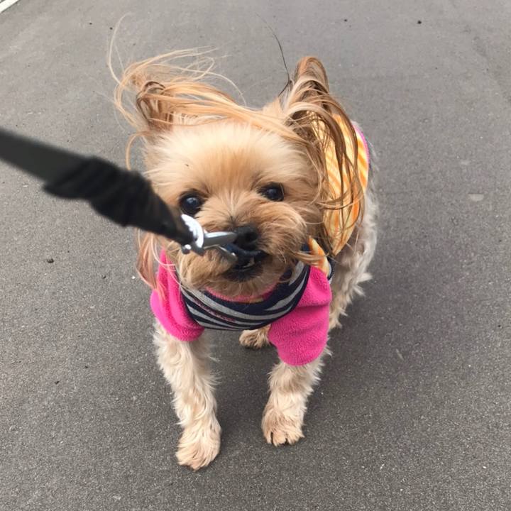 7882e5cc 14c2 4c67 b31a 5d6968f2578b 1588066730506