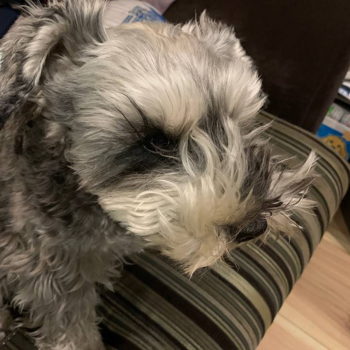 78831c54 ffad 441a 96b7 544327f51046 1610975084703