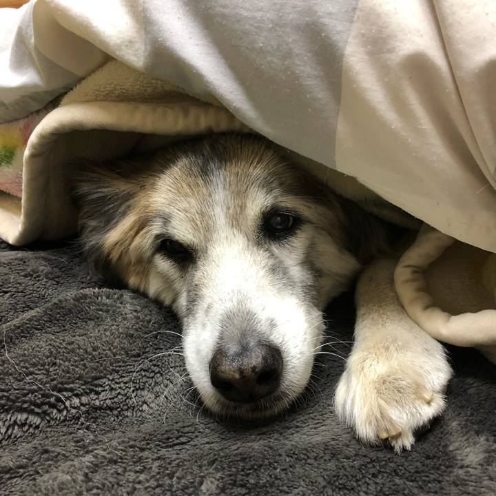 78833943 60c7 4ab5 9567 30f7b61a17ba 1519860498981