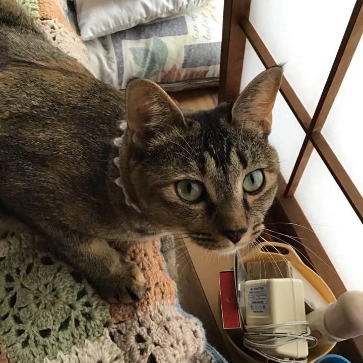 788339a0 b88e 4ef9 943a 54a3caf2b295 1597649798339