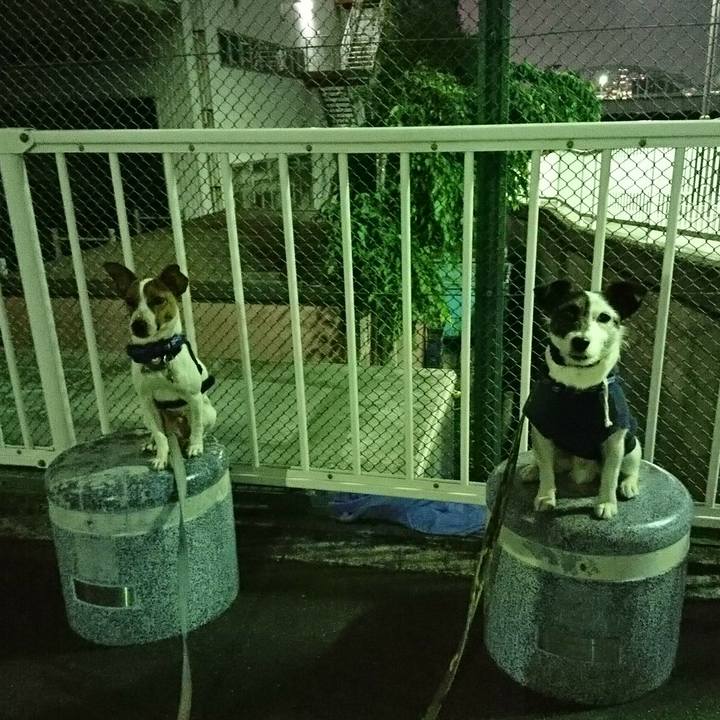 78833b5d a7ae 4743 b94b e9ff801edda9 1525345555870