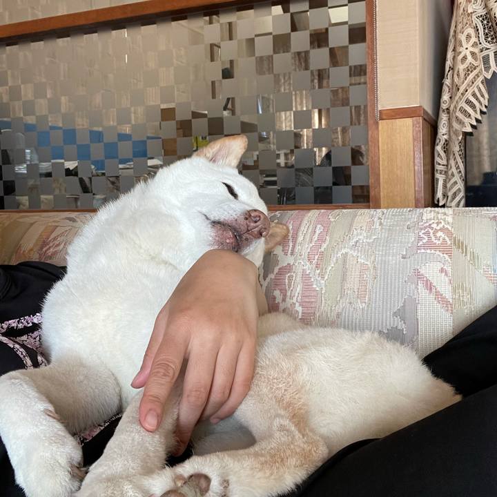 78833e43 ee28 4a73 a228 f0f1fd41ac44 1636439218275