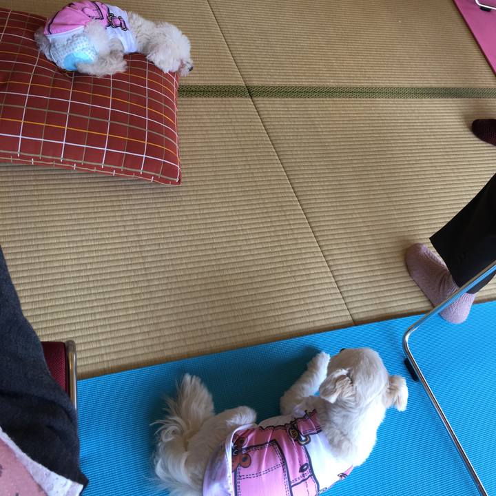 78835ad7 38a5 49df 8ff6 7ee4a707858e 1521461315398