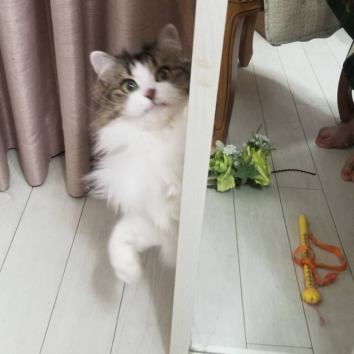 78836446 c743 4810 8653 adcaa0bcd583 1579124495799