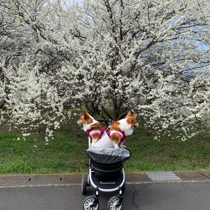 788383eb f727 4576 8a5d fbda3b7c081a 1616125705281