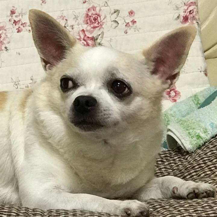 78838f91 ecad 4661 8ed8 518f426262ec 1539126679948