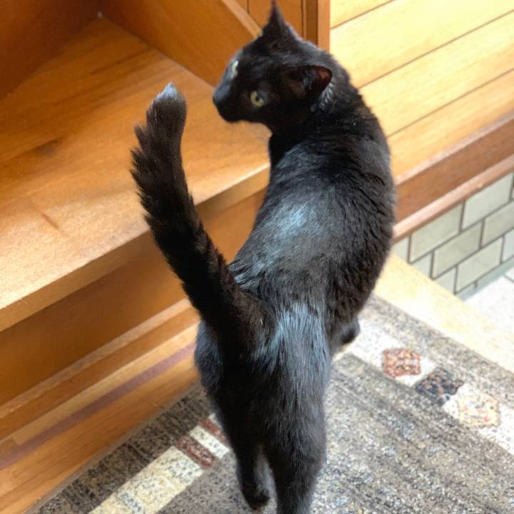 788391f8 fdbd 4396 8019 176cf605dfa1 1596414980316