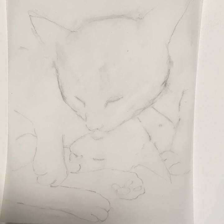 7883adcd d9f2 4179 bbda e4abb81d6840 1579533872538