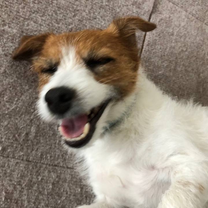 7883d0d4 d8ff 405c ab28 bb76f99ed0bd 1560061363260