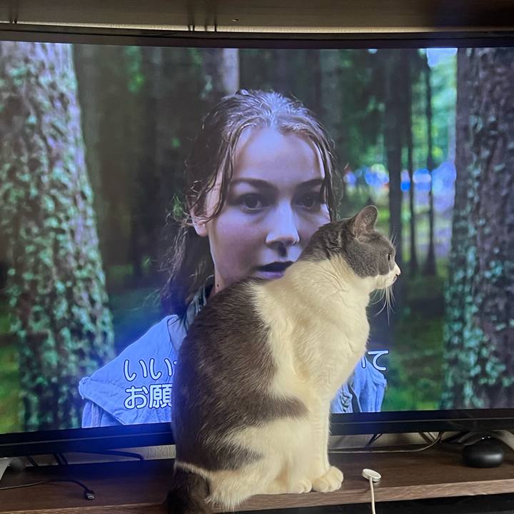 7883d6f5 8109 4cf5 9c29 4a3aa515bb95 1739512679683