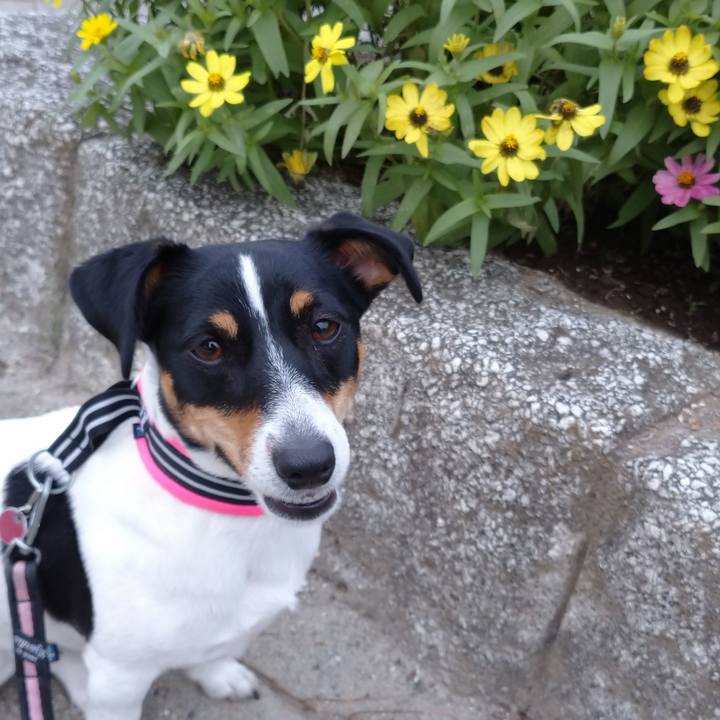 788408d0 3b18 4454 bdfd 4bf17159b7c9 1601425714291