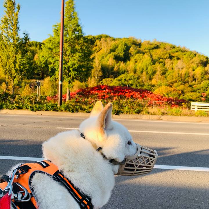 78847321 83df 4fb6 9bc9 17bc6a2aff38 1634245526283