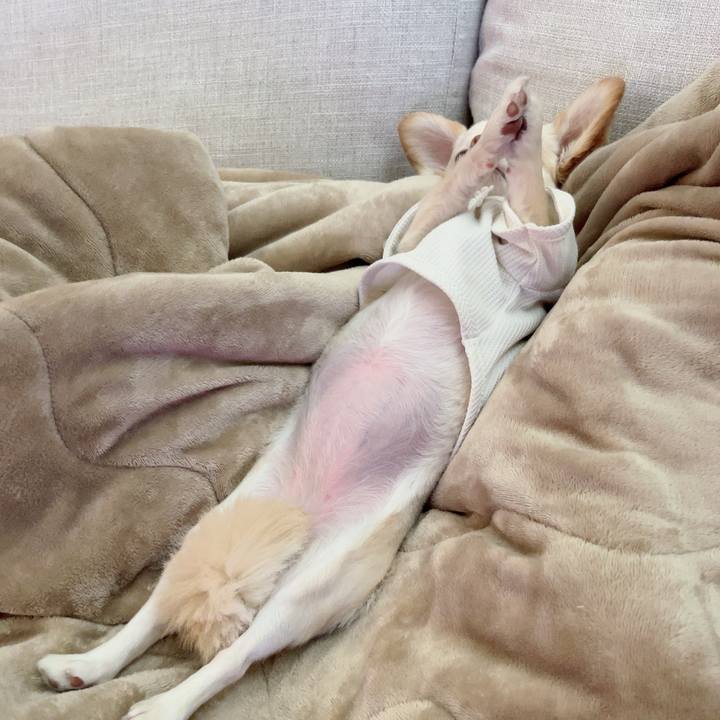 78848614 1d7e 426b bfc7 6b4e50dc1191 1722498541034