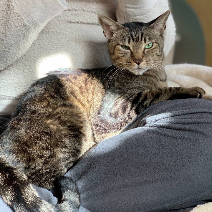 78848d64 f774 4740 a2b9 17b74abee1e8 1549502555759