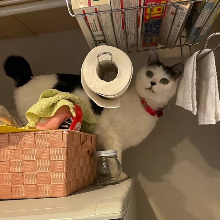 7884e3a6 c1e1 4438 82c9 4598479f3ecb 1611492064022