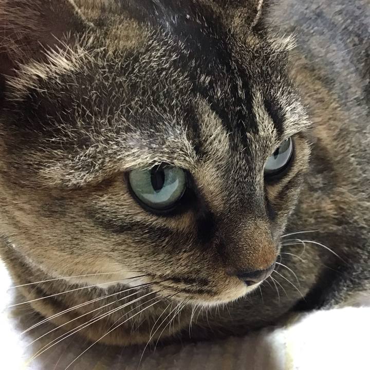 78850c62 9a80 4a0b 9924 f03750e4bfda 1751631600937