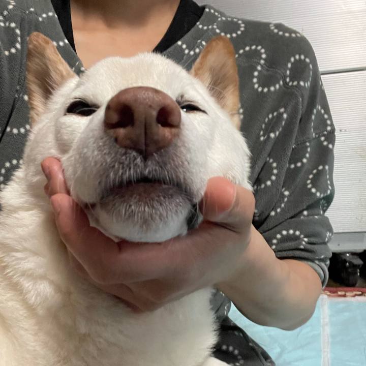 78851b1c 9047 4bbe 894f 436bfd40e2c5 1638016564012