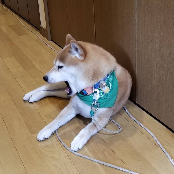 7885291c 0c4b 4417 8897 b8bcb5c41e8b 1556591415929