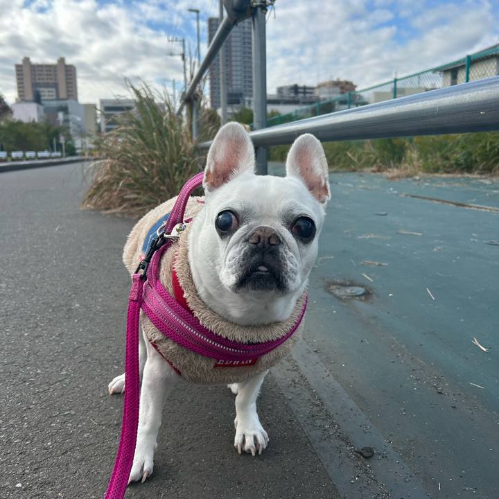 788554cd dee9 421c a069 584fbc4a9b2c 1732878215393