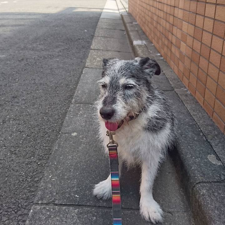 78855e1b 0b64 4560 bc93 53984a2452e9 1565410719893