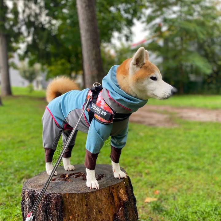 7885640e 5b9a 4edd a4b3 99b65e48b840 1697508328959