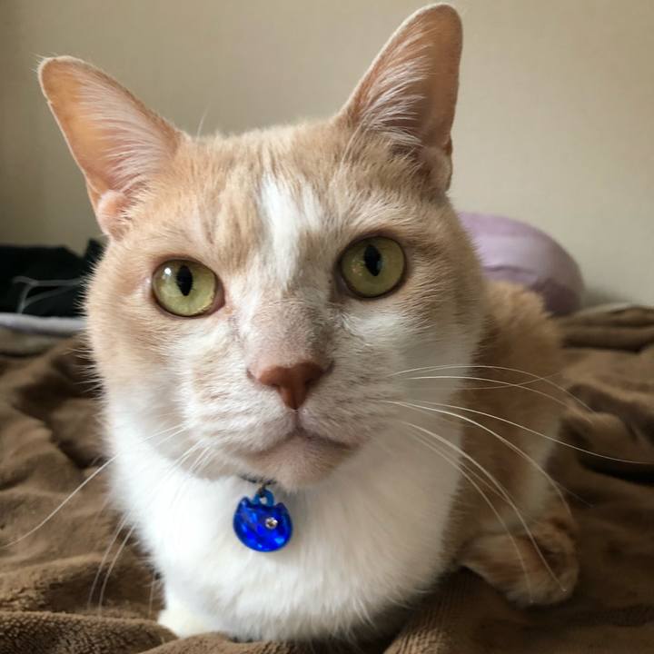 78857a86 cfb1 4879 b2bb bfb98420bb37 1523407569520