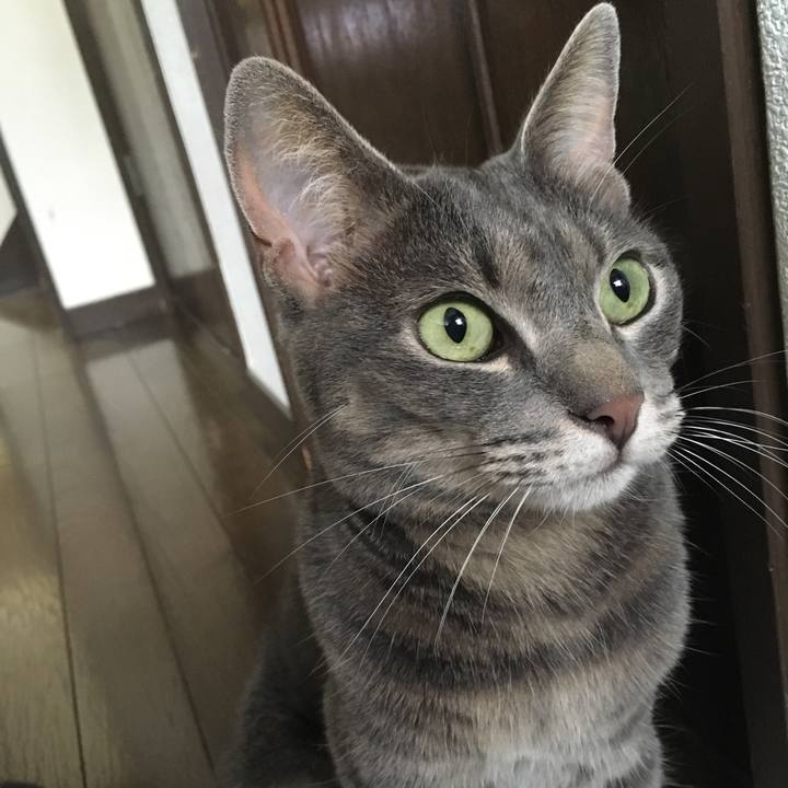 788584e2 deee 4794 802d 609e03e7539a 1563941053675