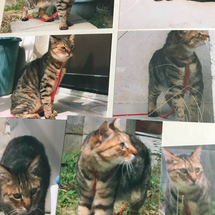 7885ccb3 fb32 4628 9098 debac4506027 1522296668437