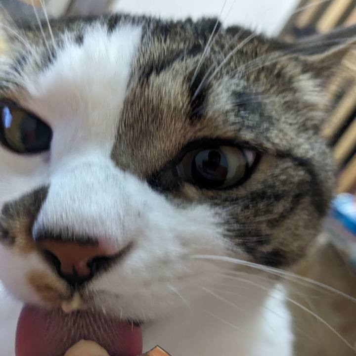 78861aa4 d96b 400d a399 bf25abd42207 1713227254662