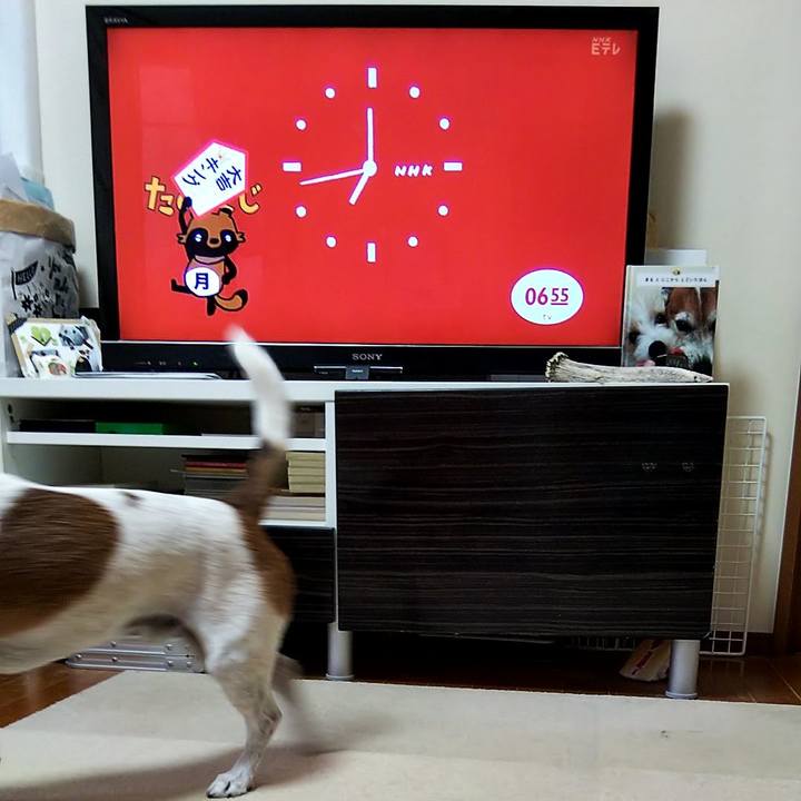 78862a4a e068 4676 ac16 aa71c4860d30 1560723363195