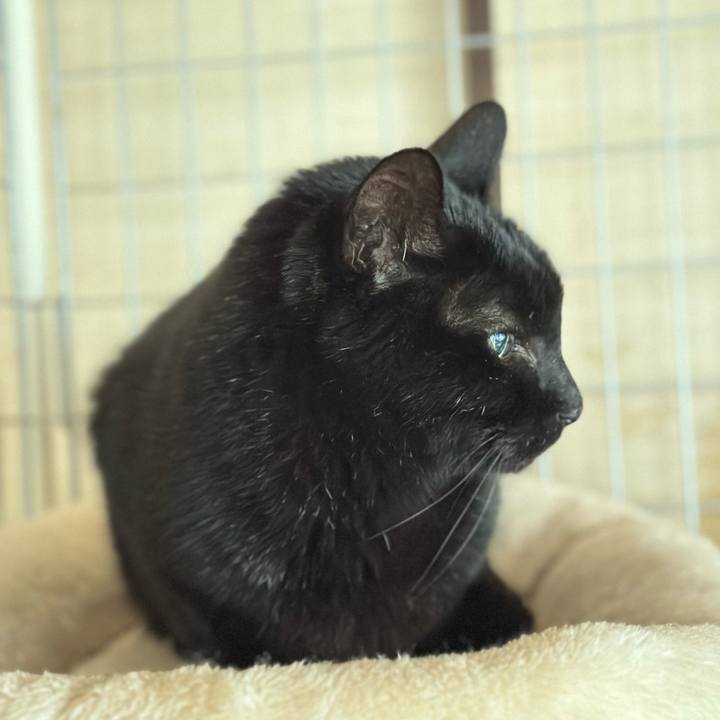 78863066 e993 40b1 8d8a decebaded6d8 1704852502542