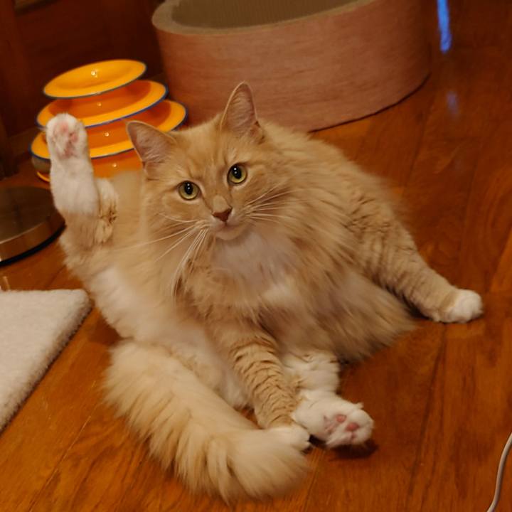 78863670 7d99 4d3d 9b4b e1ff67b5be72 1624270575270