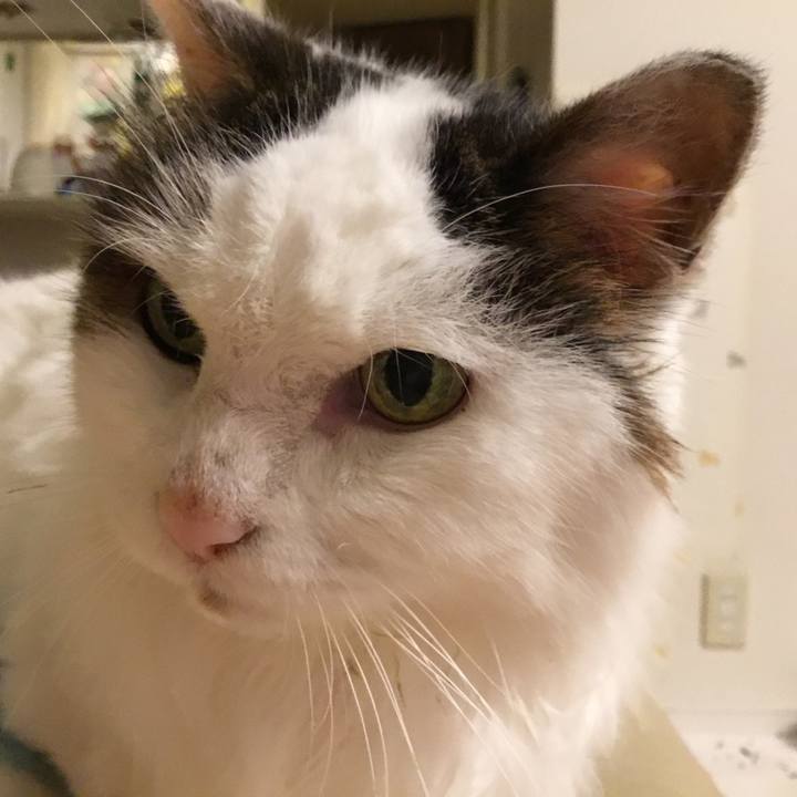 78863d60 5ff3 4437 afc7 8aa1e41b35e9 1573179903384