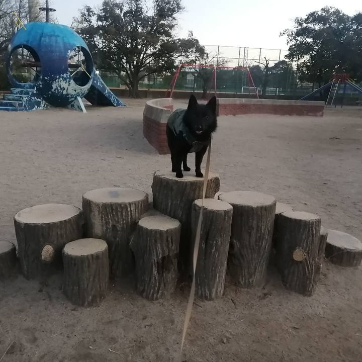 78863d88 8400 4f07 88d1 1019808a108e 1672785306507