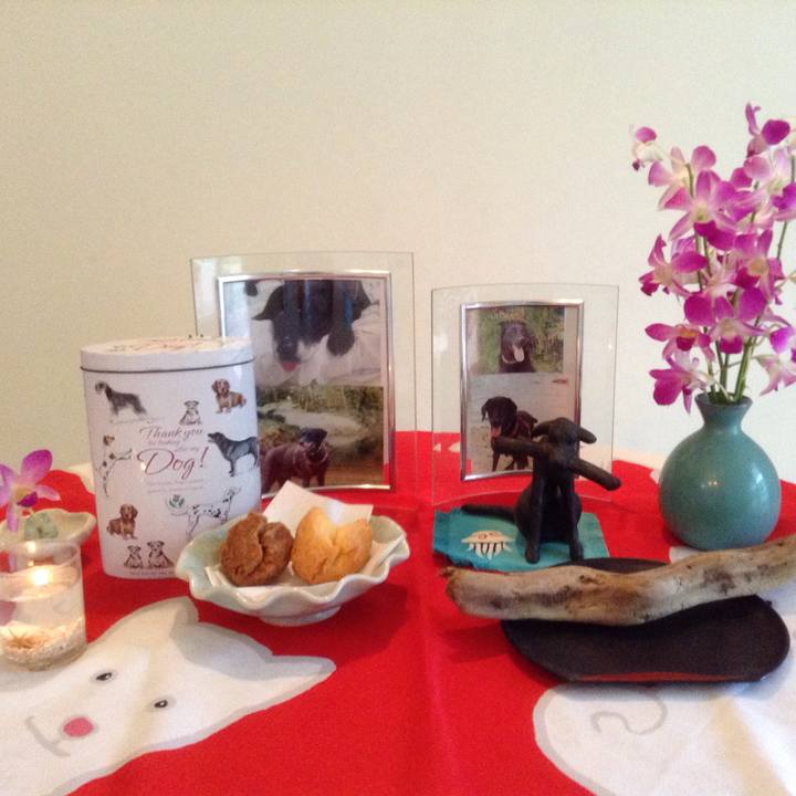 788665b3 d443 431d b886 bc1e1b987146 1535014099432