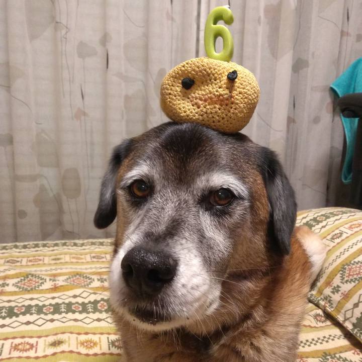 7886798a 51c1 44a7 96a1 ef4ff7be47d4 1546772045995