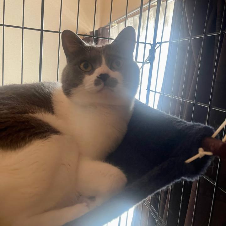 7886cd44 42eb 4fab a49e cecfea4bb132 1682033391827