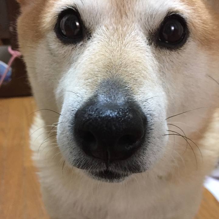 7886d502 a521 4374 a340 81cfa6567f8a 1523918915200