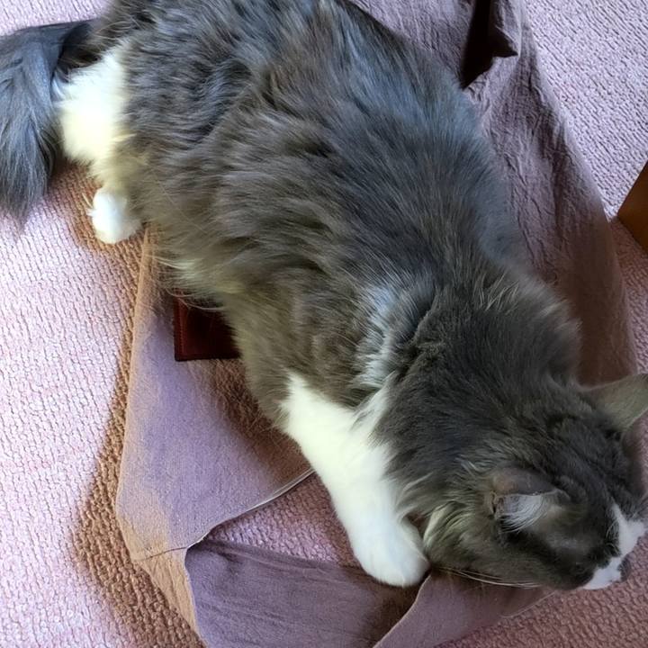 7886f1ca 0eca 4688 ac38 fe606924b424 1666586280121