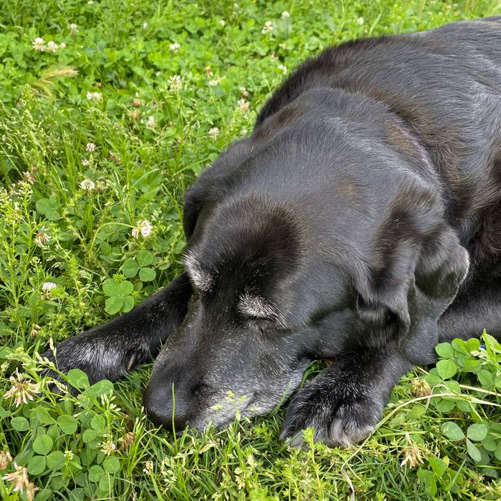 78870aee eda1 416a 8262 74ee846455c4 1622329872151