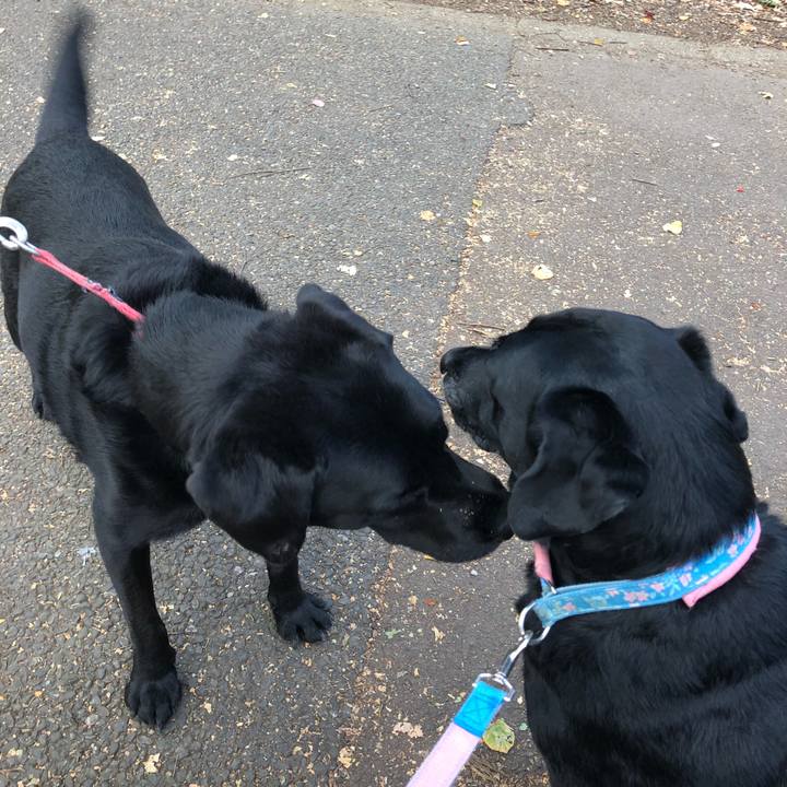 78876022 d12c 416b bbad 5f695ff0b1f6 1540989512900