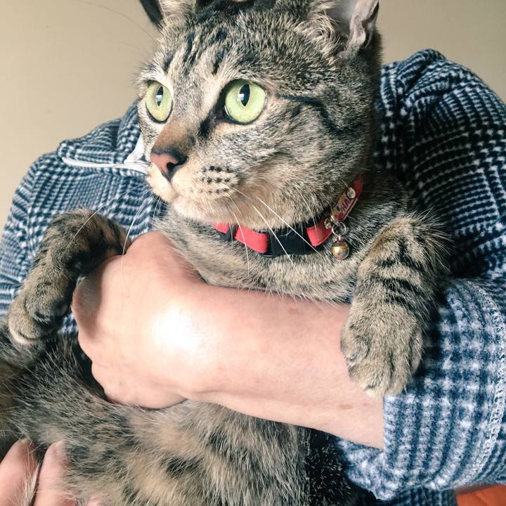 7887789c 6e42 4713 9458 40efca7eead3 1526813252962