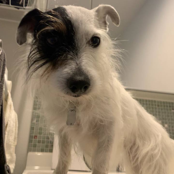 788783fc 73c8 4575 8271 0f2145b8f86e 1648108657635