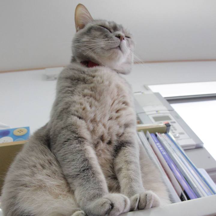 78879e1c 0e84 4ccf b638 46b8320a6f74 1617940383857