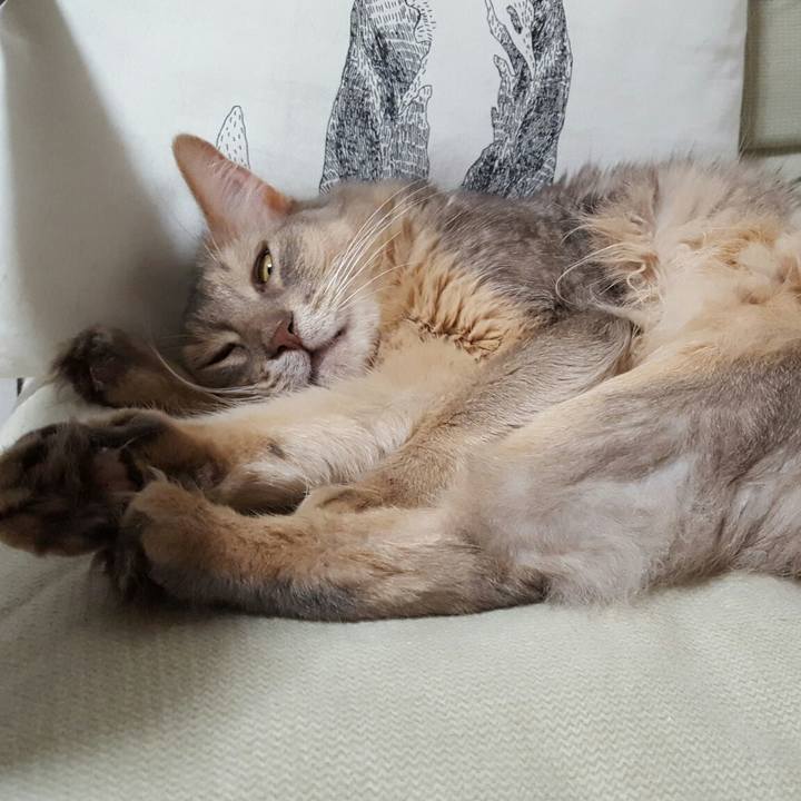 7887bb25 a2b2 4021 8498 eb7ad77d1be4 1563030347123