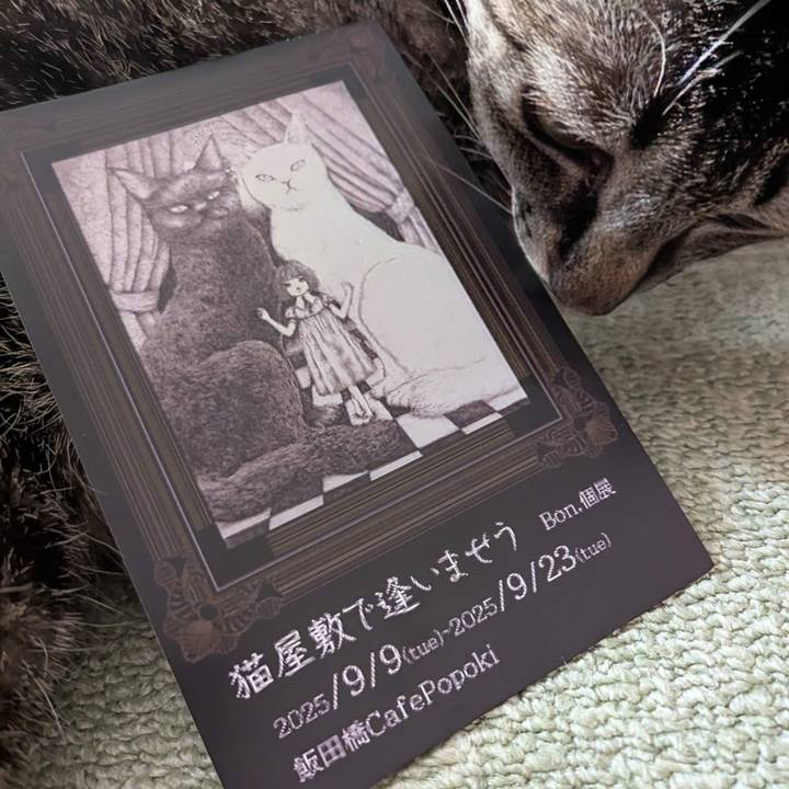 7888049c 334f 486e ba0d c5f02aa780cb 1754092204160